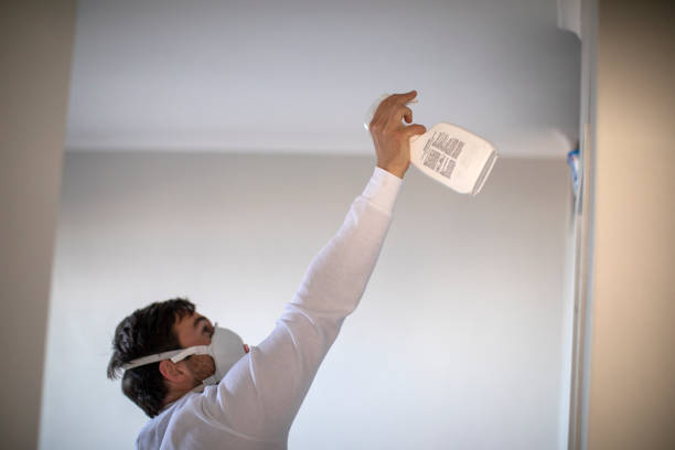 Best Office Mold Removal Services  in Seneca Knolls, NY